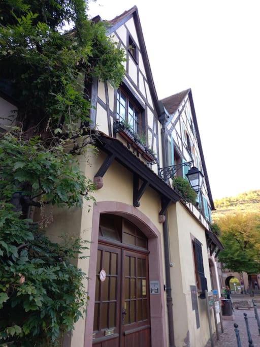 S'gleina Gleck, In The Heart Of A Wine City, 1 Piece Et 1 Salle De Bain Apartment *