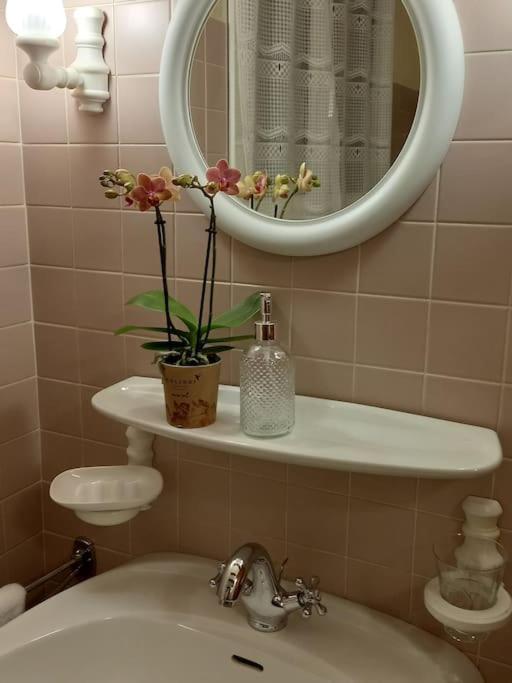 S'gleina Gleck, In The Heart Of A Wine City, 1 Piece Et 1 Salle De Bain * Kaysersberg-Vignoble