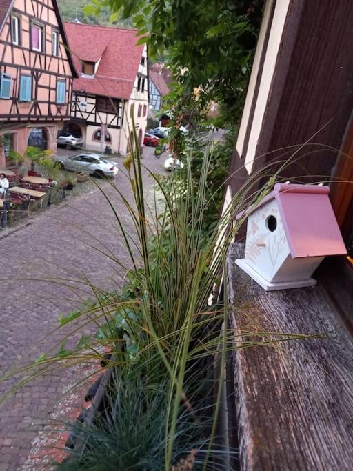 S'gleina Gleck, In The Heart Of A Wine City, 1 Piece Et 1 Salle De Bain Apartment Kaysersberg-Vignoble