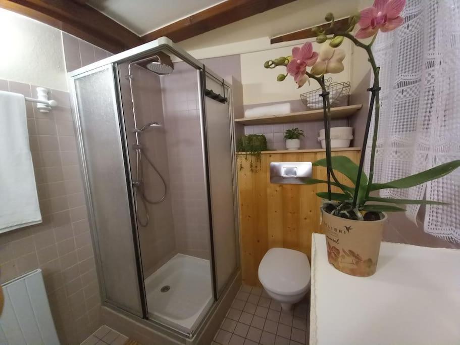 Apartment S'gleina Gleck, In The Heart Of A Wine City, 1 Piece Et 1 Salle De Bain Kaysersberg-Vignoble