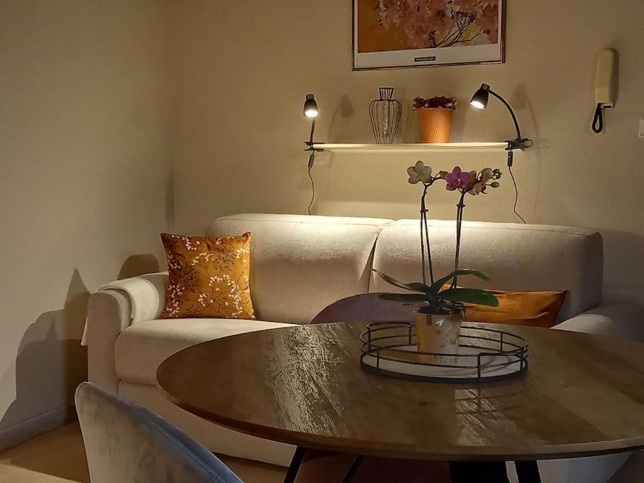 S'gleina Gleck, In The Heart Of A Wine City, 1 Piece Et 1 Salle De Bain * Kaysersberg-Vignoble