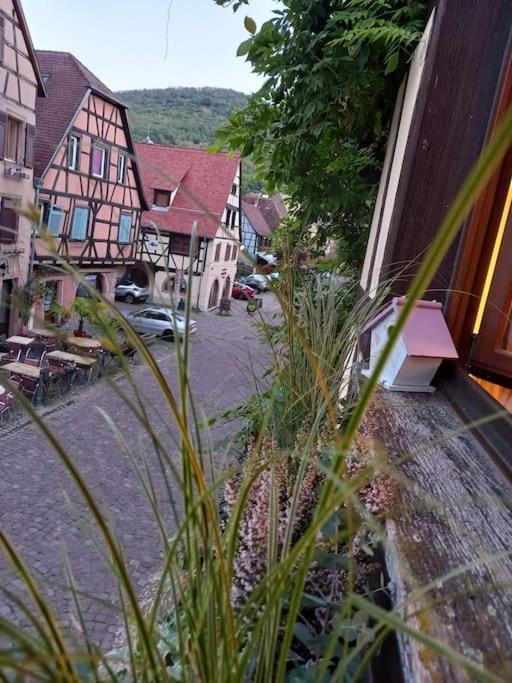 S'gleina Gleck, In The Heart Of A Wine City, 1 Piece Et 1 Salle De Bain Apartment