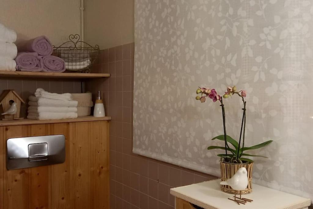 S'gleina Gleck, In The Heart Of A Wine City, 1 Piece Et 1 Salle De Bain Kaysersberg-Vignoble